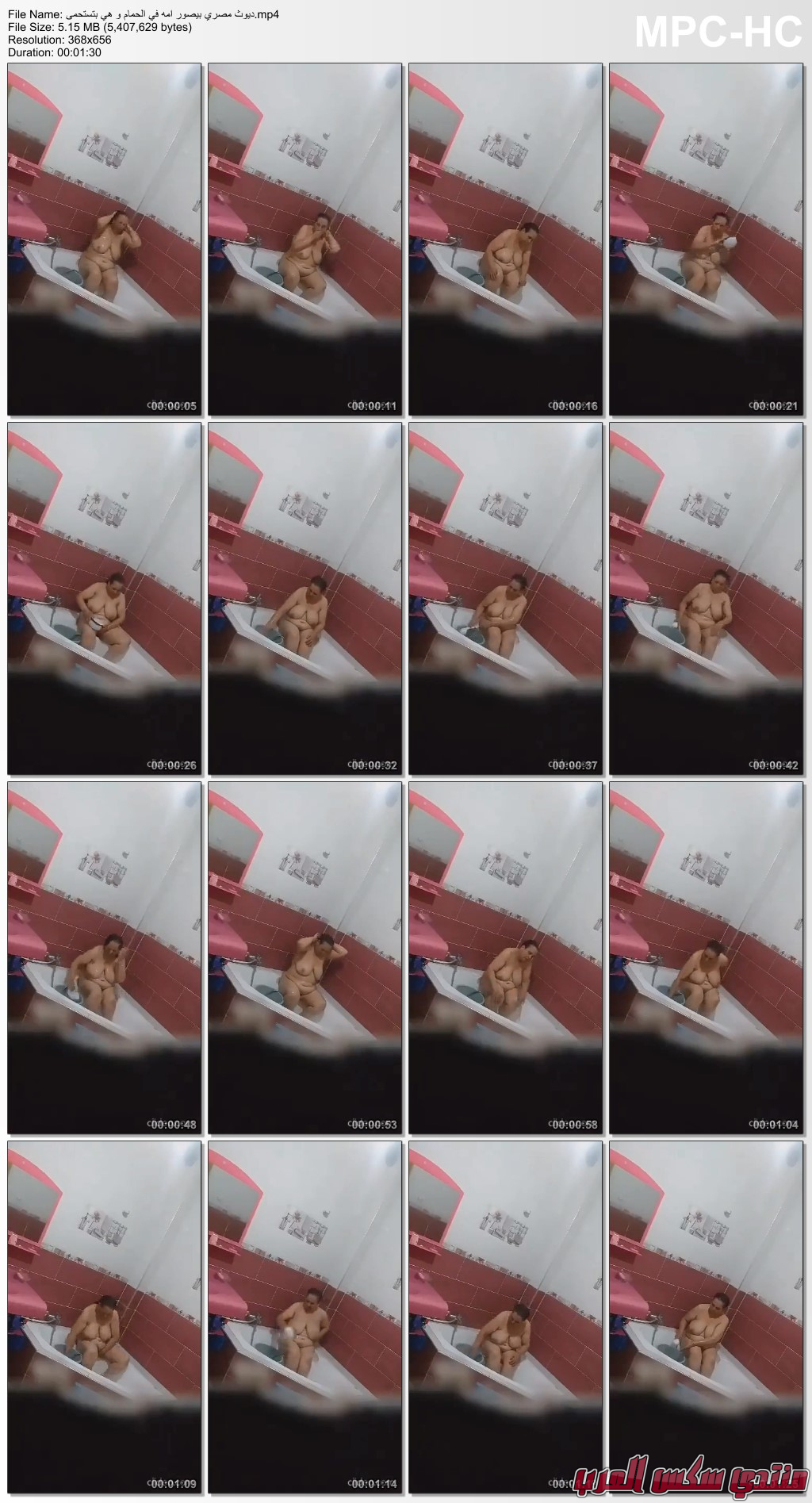         mp4 thumbs 20231231 040821