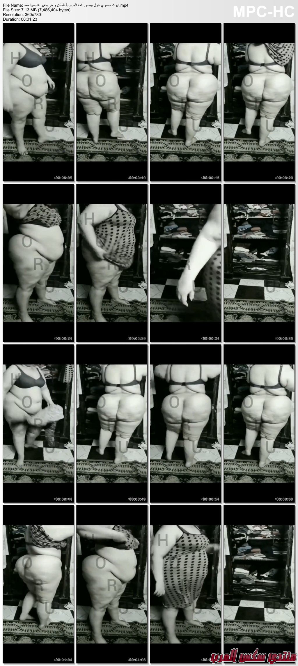            mp4 thumbs 20231231 040836