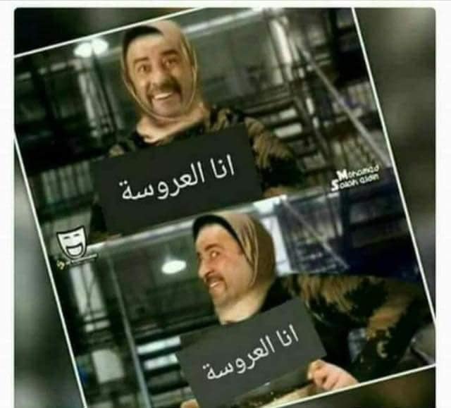 267317315 130941272698638 4800555964403760564 n