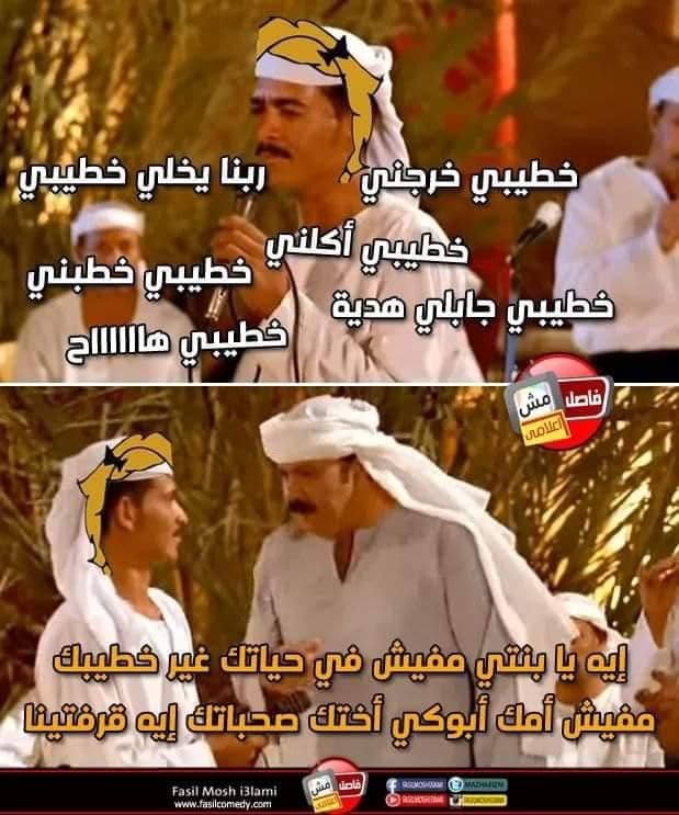 267664126 130941326031966 1696079594035284693 n