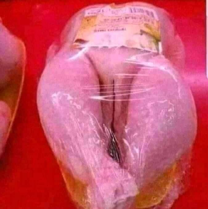 277499598 4968412379901561 155843985719145778 n