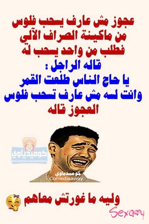 310515820 204038568727547 7678045338694901619 n