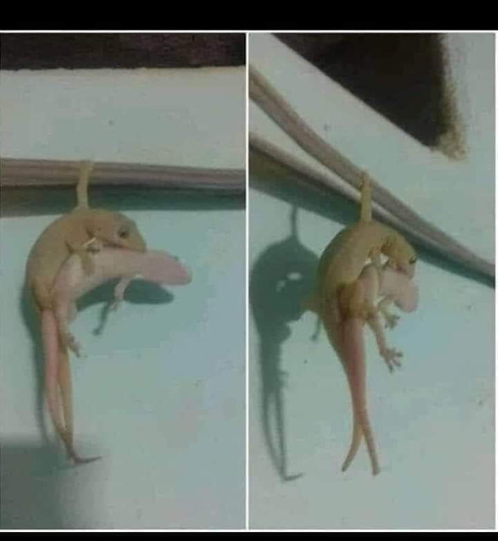 FB IMG 1648324564701