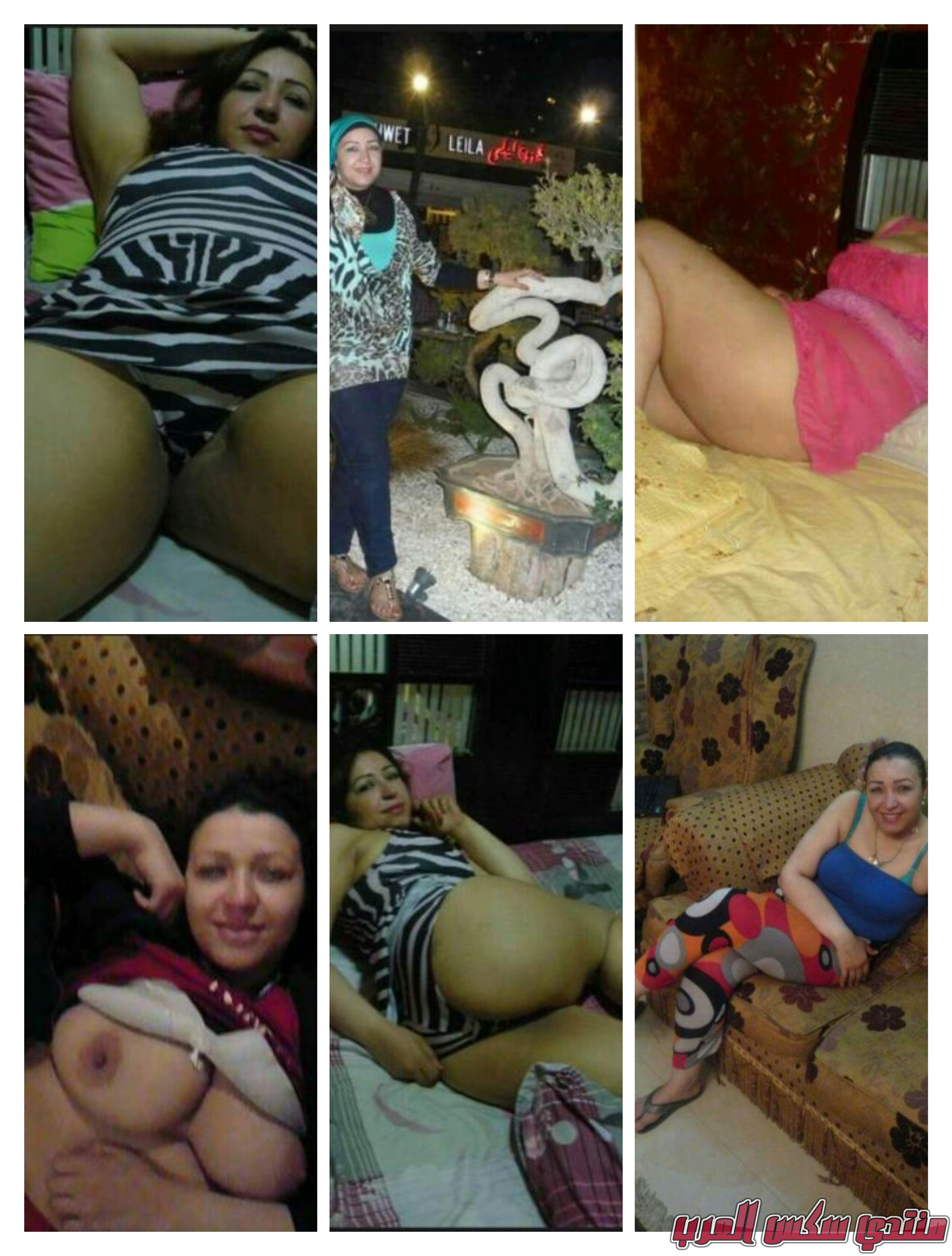 IMG 20240125 165318