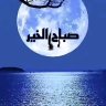 ابو الباشا